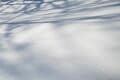【雪山登山】青空の下で超パノラマ絶景！  冬の魅力を満喫 「湯ノ丸山」 長野県・2025年の画像005
