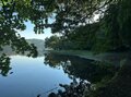 都心から行ける「ちょこっとアウトドア」絶景・伊豆高原「秋の紅葉＆夏の湖畔＆春の桜」穴場ハイキング・ウォーキング「4スポット」の画像003