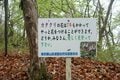 片栗粉の原材料？「咲くまでに7年かかる」可憐なカタクリの花って見たことありますかの画像009