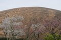 都心から行ける「ちょこっとアウトドア」絶景・伊豆高原「秋の紅葉＆夏の湖畔＆春の桜」穴場ハイキング・ウォーキング「4スポット」の画像002