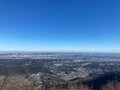 真冬限定の「白い花」を見る登山！ 都心から1時間「仏果山」 低山でも「氷点下ルート」の北斜面「シモバシラ」レポートの画像003