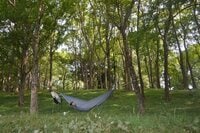 【ハンモックの夏を快適に】虫対策の知識あれこれ＜場所探し編＞【ハンモックハイキング -基礎と応用- vol.13】