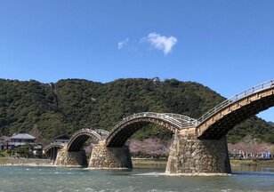 祖父母と孫「三世代」プチトレッキング旅で渡る「日本三名橋・錦帯橋」！ ライトアップ夜桜との限定コラボは4/16まで
