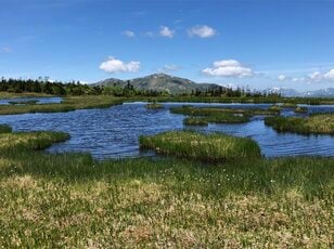 首都圏からアクセス良好「鳩待峠」から “天空の楽園” アヤメ平、尾瀬ヶ原を経て「至仏山」 周回ルートで尾瀬を1泊2日で満喫【群馬県片品村】