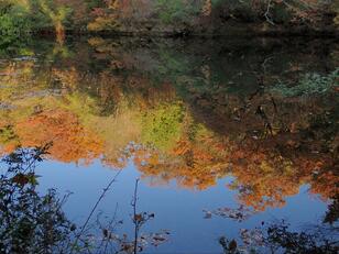 【里山がまるごとミュージアム「北摂里山博物館」】初めてでもなぜか懐かしい「杤原めぐみの森」で、池をつなぐオアシス散歩！