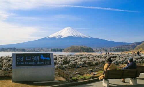 山梨のキャンプ場