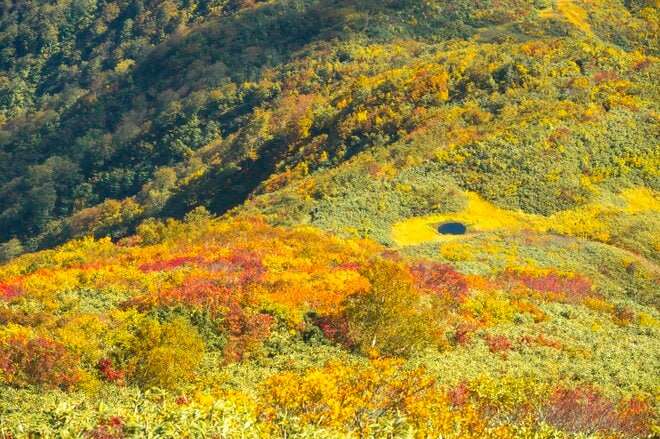 【登山】“滝雲”の名所、枝折峠！  遥かなる稜線を辿る紅葉の百名山「越後駒ヶ岳」へ   新潟県 2026年の画像004