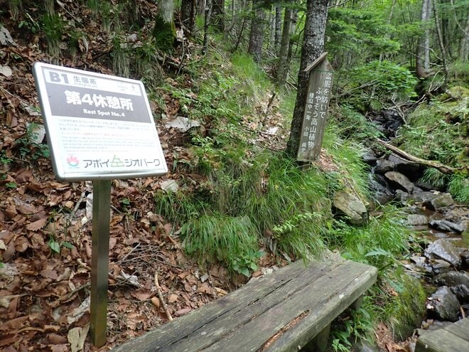 【北海道の山】花の名山として知られる日高「アポイ岳」は、夏の登山も魅力的！ 2025年・北海道の画像002