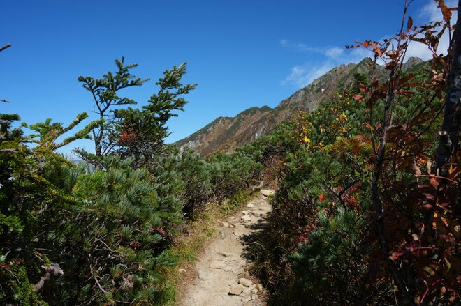 温泉＆紅葉散策【界 奥飛騨】で感じる北アルプスの秋 「飛騨高山」の伝統にもふれ、その魅力はさらに深まっていくの画像037