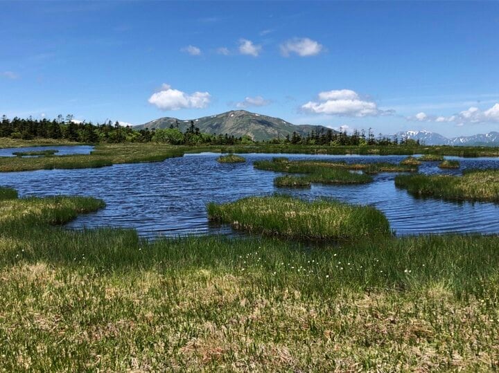 首都圏からアクセス良好「鳩待峠」から “天空の楽園” アヤメ平、尾瀬ヶ原を経て「至仏山」 周回ルートで尾瀬を1泊2日で満喫【群馬県片品村】 