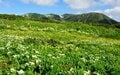 【特集 そこに山小屋を興して】北アルプス山小屋ヒストリー 第8回『双六小屋グループ』 4つの小屋が「山麓」「稜線」「奥地」に点在。変化に富んだ自然や風景との出会いが魅力にの画像010
