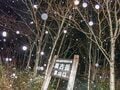 【スキーツーリングの世界】日本一長い日高山脈をスキーで滑り抜ける！ 「南日高」主稜線の長く過酷な一日  北海道・2022年の画像002