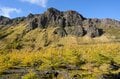 どこの惑星の景色でしょ？「浅間山×カラマツ」が生む独特過ぎる紅葉が見頃の画像003