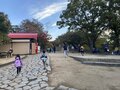 「とっておきのプラン」高尾山は “前泊” がオススメ！  日帰りでは味わえない、混雑知らずの「早朝ハイキング」 下山後は温泉でとろける旅【2021年・東京都】の画像008