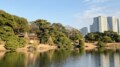 金沢・兼六園の冬の風物詩「雪吊り」を東京で見る！ 浜離宮恩賜庭園「冬の見どころ」発掘レポートの画像002