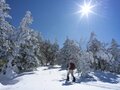 「今年はまだ見頃！ まだ間に合う」 神秘的な樹氷輝く森へ【根子岳】 長野県上田市 2025年の画像004
