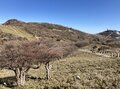「山に行ってみませんか？」 失恋を癒すため「はじめての登山」をサポートしてみた！  いたれりつくせり「安心プラン」 御在所山ハイキングの結果とは？の画像002