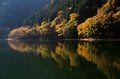 【今年の紅葉は「ここ数年で一番」の当たり年！】＜東京都の最深部へのおすすめドライブコース＞奥多摩エリアの紅葉は「今がピーク」の画像005