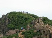「至仏山」花の名山は尾瀬のシンボル！ 多彩な高山植物に彩られる本州最大級の高層湿原「尾瀬ヶ原」【首都圏発！週末に行ける百名山ガイド vol.5】