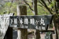 【首都圏近郊】まだ間に合うお花見登山「西丹沢・畦ヶ丸山」は桜だけじゃない欲張りプランを楽しめるんです！
