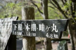 【首都圏近郊】まだ間に合うお花見登山「西丹沢・畦ヶ丸山」は桜だけじゃない欲張りプランを楽しめるんです！