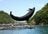 ド迫力！ 目の前で「ホエールジャンプ」連発のカヤックツアーと「クジラと泳げる」国内唯一の海水浴場！ 和歌山県太地町での「クジラ三昧」旅行の画像004