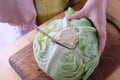 見た目のインパクト大！  ダッチオーブンで作る春のキャンプ飯「巻かないまるごとロールキャベツ」【季節の外ごはん vol.61】の画像006