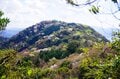 初心者も熟練者も満足度高し！「桜と絶景と気持ちのいい尾根道」を楽しむ低山ハイク＜前編・沼津アルプス＞【今日も山旅気分 vol.18】の画像001