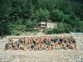 まるでアドベンチャー映画のよう。北アルプスのラストフロンティア「伊藤新道」が40年振りに本格開通の画像004