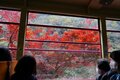 秋の京都は観光だけではもったいない！　紅葉と寺社と山をまるっと楽しむ！【2021年・秋】の画像014