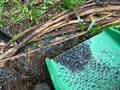 ＜手間暇を惜しまない＞森を整える「循環型工法」での道＆土留め作り【ユーコンカワイのシン・サウナ村建設記 vol.7】の画像007