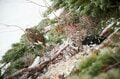 残雪期だけしか歩けないルートを辿る、GWの聖岳〜荒川三山4泊5日縦走【南アルプスの日々 vol.3】の画像004