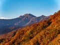 一面が紅葉に包まれた絶景「奥只見湖」の遊覧船体験！  まさにこれからが紅葉の盛り【新潟県魚沼市】の画像007