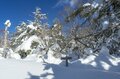 「飛騨・位山」 気持ちいい頂で深呼吸、山で汲んだ美味しい水でコーヒーを一杯いただく登山レポート【2025年 岐阜県】の画像007