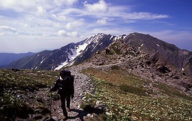 あこがれの固有種「キタダケソウ」を一目見たい！ 日本百名山「北岳」7
