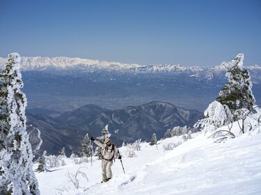 今年はまだ見頃！ まだ間に合う」 神秘的な樹氷輝く森へ【根子岳