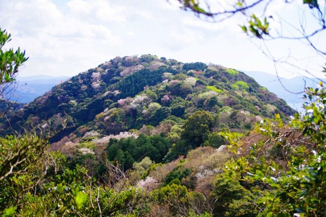 初心者も熟練者も満足度高し！「桜と絶景と気持ちのいい尾根道」を楽しむ低山ハイク＜前編・沼津アルプス＞【今日も山旅気分 vol.18】の画像001