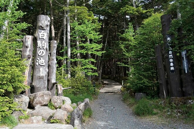 【この秋、絶対！ 八ヶ岳】第6回「白駒池」 北八ヶ岳らしい苔むした森を歩くの画像005