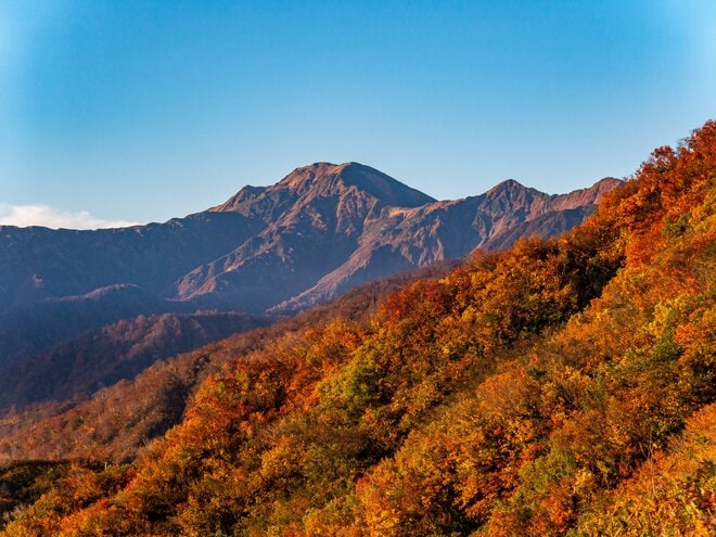 一面が紅葉に包まれた絶景「奥只見湖」の遊覧船体験！  まさにこれからが紅葉の盛り【新潟県魚沼市】の画像007