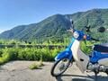 アウトドアでも根強い人気！  ホンダの小型オートバイ「スーパーカブ」シリーズ！  キャンプ＆ツーリングで愛用者が多い理由とは？の画像005