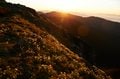 北岳登山解禁！  雪解けの山頂付近にのみ咲く「キタダケソウ」とは？【南アルプスの日々 vol.6】の画像003