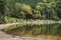 【紅葉狙いで登るなら今週末が狙い目？】「北八ヶ岳＆双子池」紅葉状況最新レポート＜2023年10月上旬＞の画像006