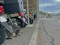 アート、ときどき島猫。直島・犬島・小豆島【「瀬戸内トリエンニャーレな旅（後編）」琉球島猫百景 vol.22〈特別編〉】の画像008
