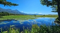 【世界自然遺産登録から20年】知床を代表する景勝地のひとつ「知床五湖」の絶景 ～9月・地上遊歩道全周3kmコースを歩く～