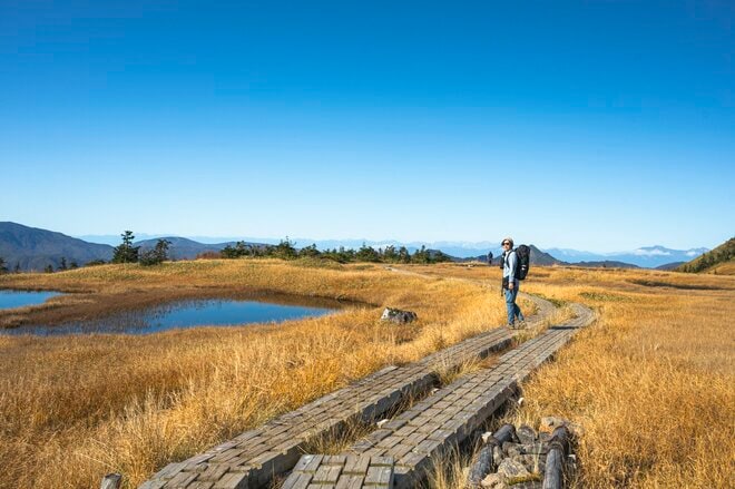 【登山】そこは、まるで天上の楽園！  “秋空を映す水鏡、黄金色の高層湿原になだらかに続く木道”  彩り鮮やかな原生林「苗場山」 長野県｜新潟県 2026年の画像007