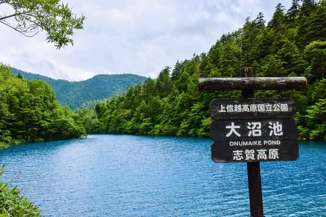 たった1時間歩くだけ！息を呑む「空よりも青い」神秘の大沼ブルー の画像003