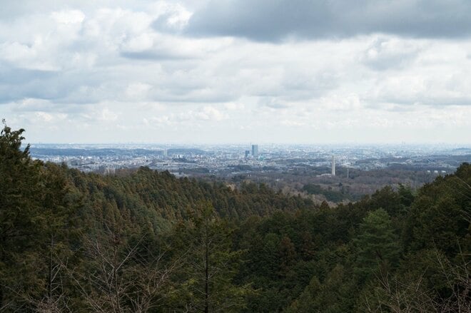 【大人気の高尾山ハイキング】混雑を回避する “静かな尾根道”「南高尾山稜」への画像006