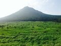 イモとウナギの関係は？  ヤマは漢字でOK？  知ってるようで知らない「山」の使われている「慣用句・ことわざ」3選の画像004