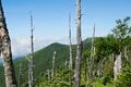 ＜金峰山は「きんぷさん」or「きんぽうさん」？＞日本一標高の高い車道峠からスタートする「日帰り百名山ハント」お手軽ルートの画像001