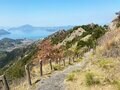 瀬戸内海の「神の島」愛媛県・大三島の大山祇神社と最高峰・鷲ヶ頭山からの「多島美」を望む絶景ハイキングの魅力とは？の画像006